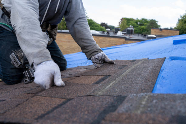 Best Residential Roofing Contractor  in Cole Camp, MO