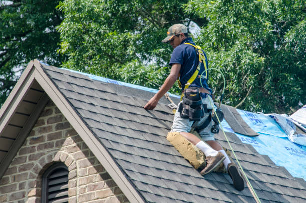 Best Residential Roofing Contractor  in Cole Camp, MO